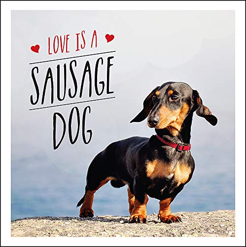 Love Is A Sausage Dog