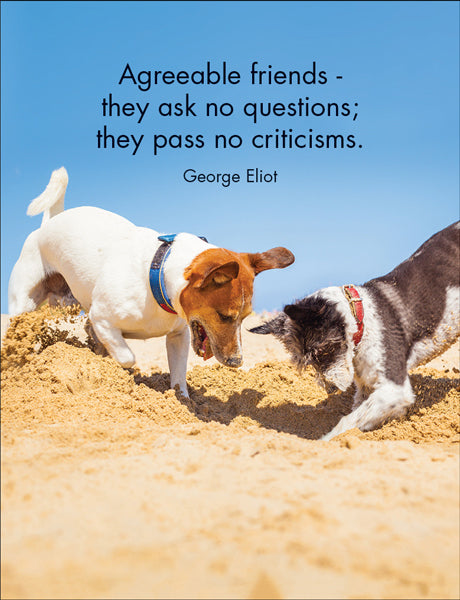 Every Dog Has Its Day: Fun Quotations