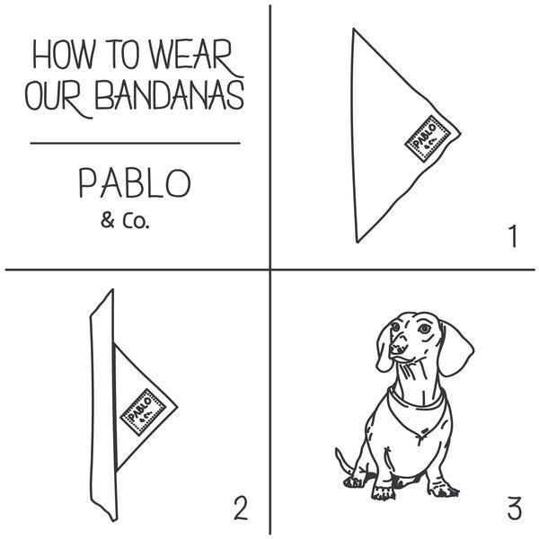 The Sausage Sizzle - Bandana