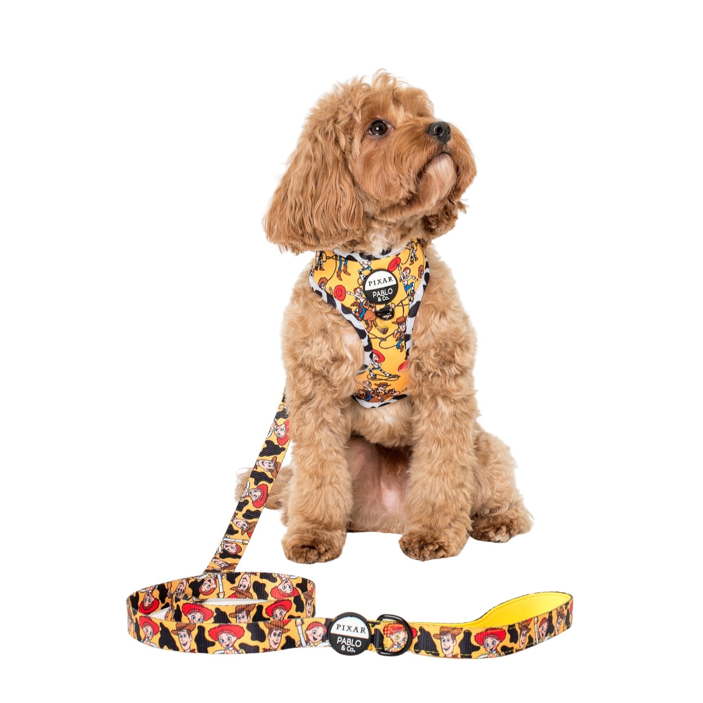 Toy Story - Woody's Roundup: Dog Leash