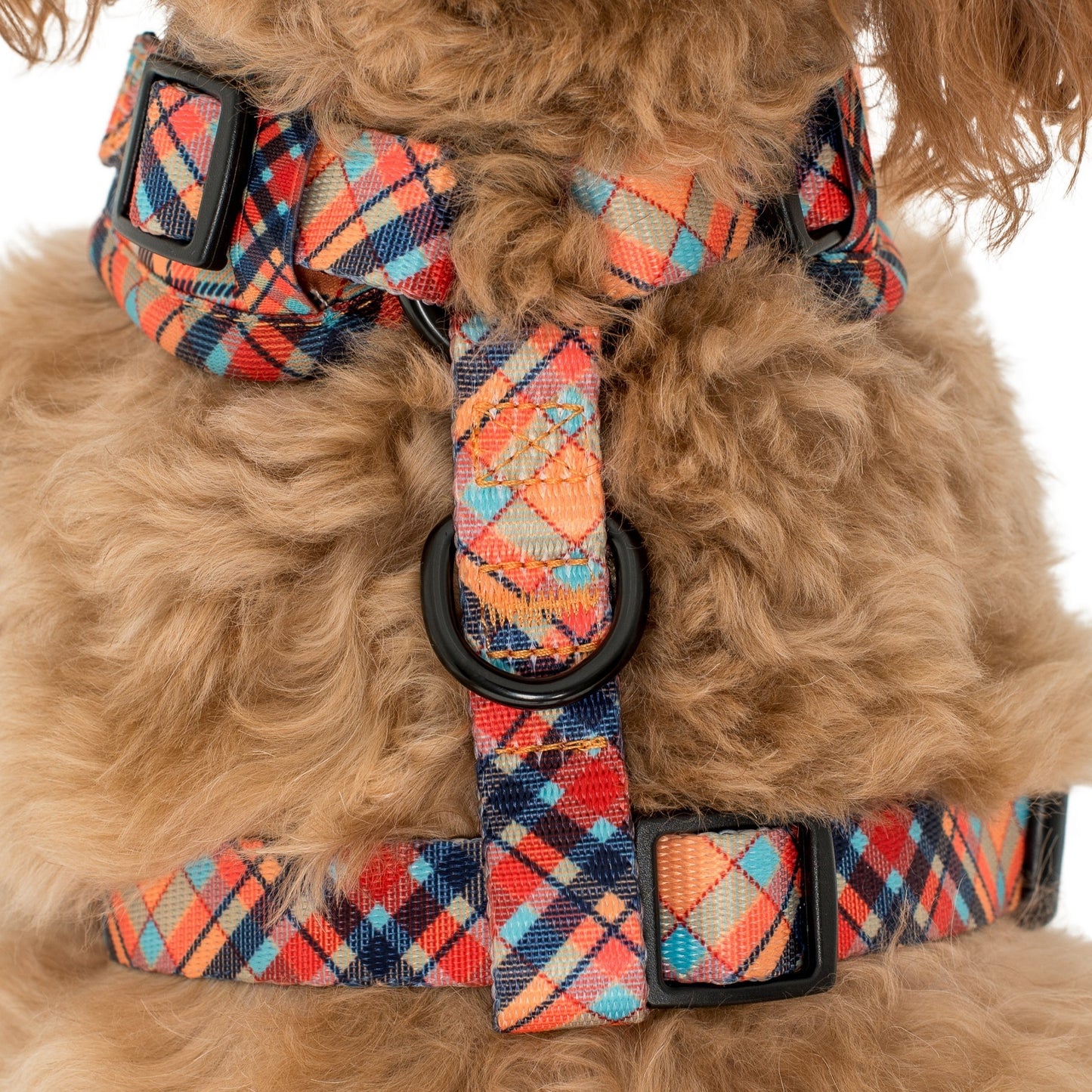 Tartan: Adjustable Harness