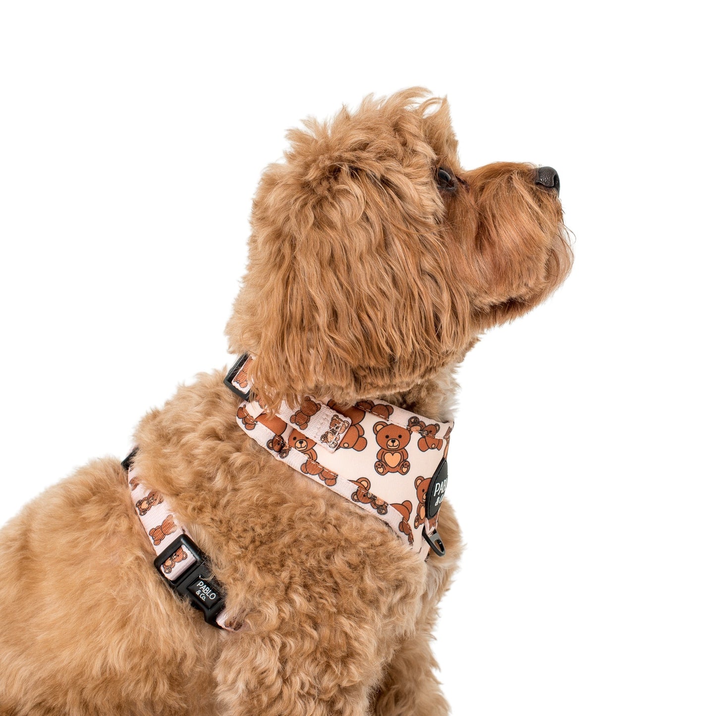Teddy Bears Picnic: Adjustable Harness