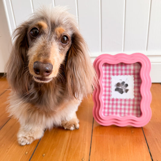 DIY Paw Print Keepsake 🐾
