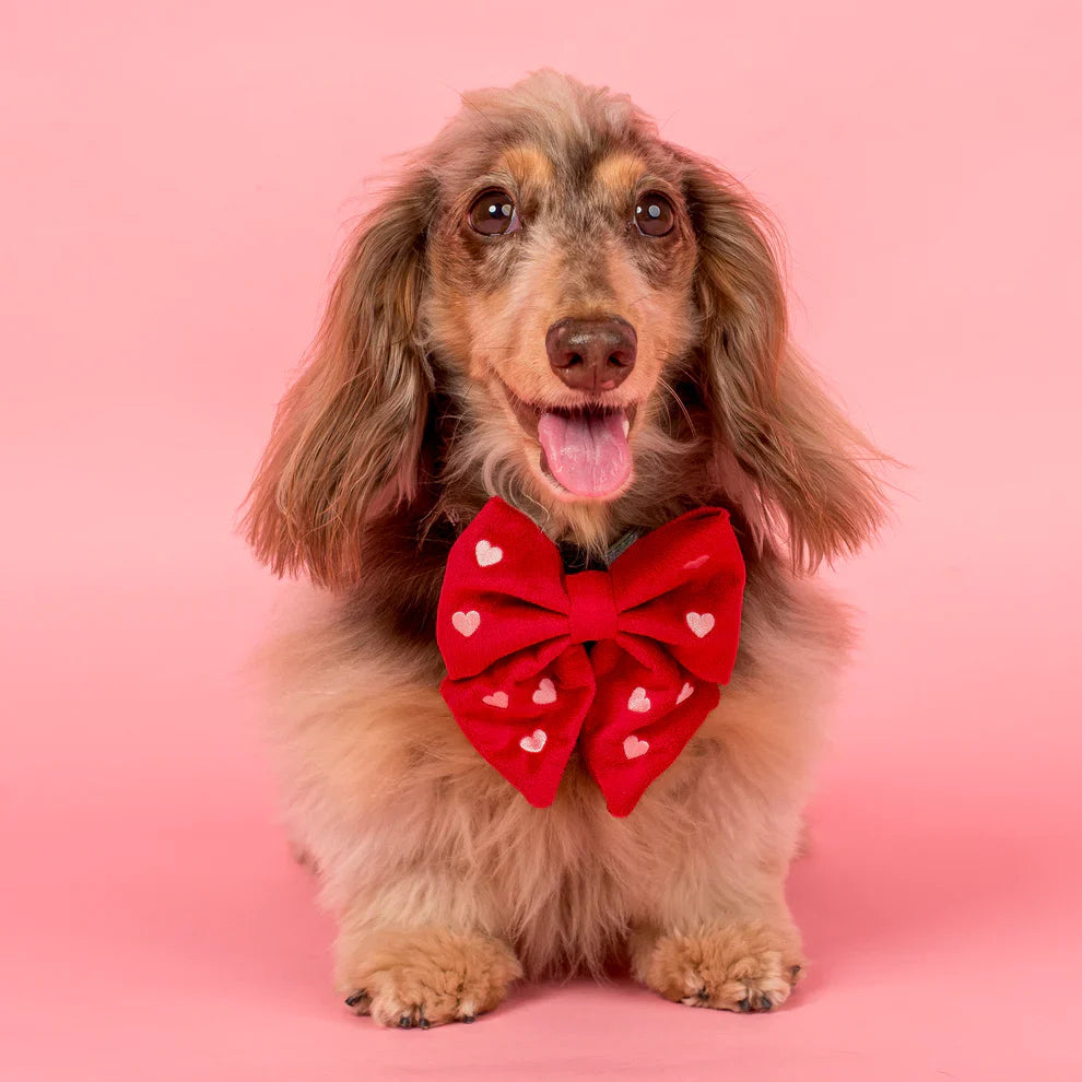 Bow Ties for Dogs