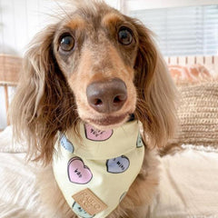 Bandanas