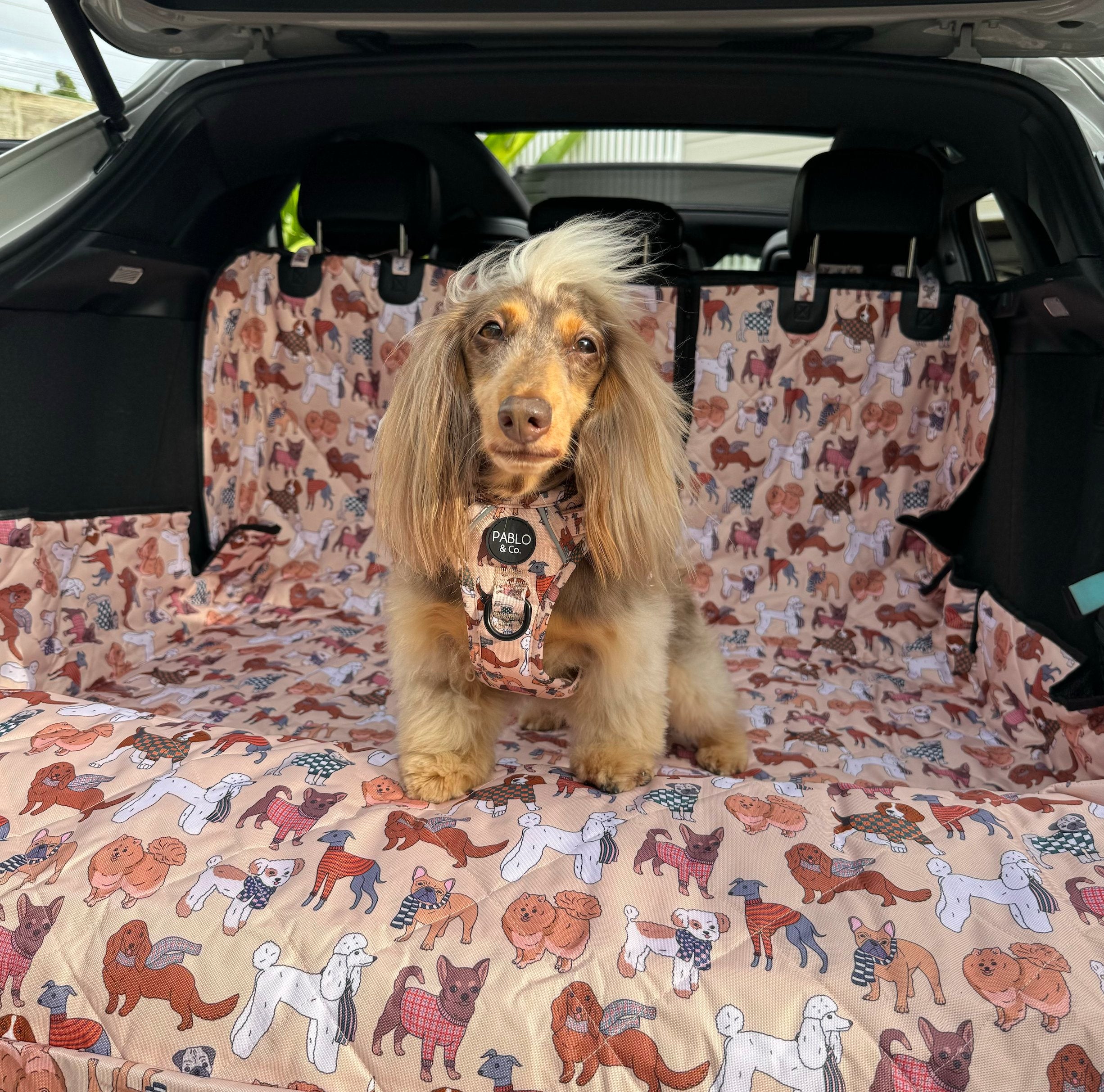 Car Boot Cover