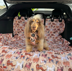 Car Boot Cover