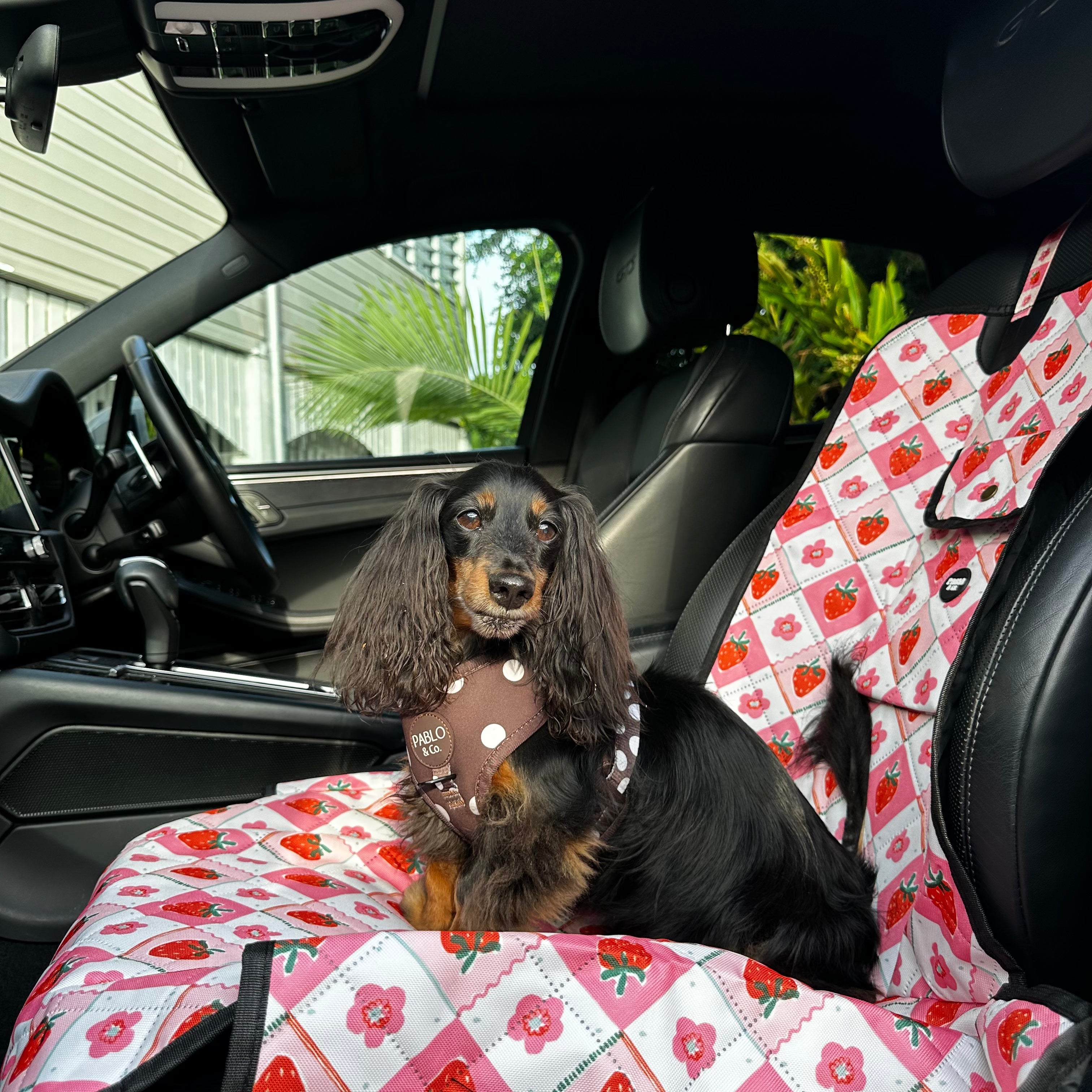 Single Car Seat Covers
