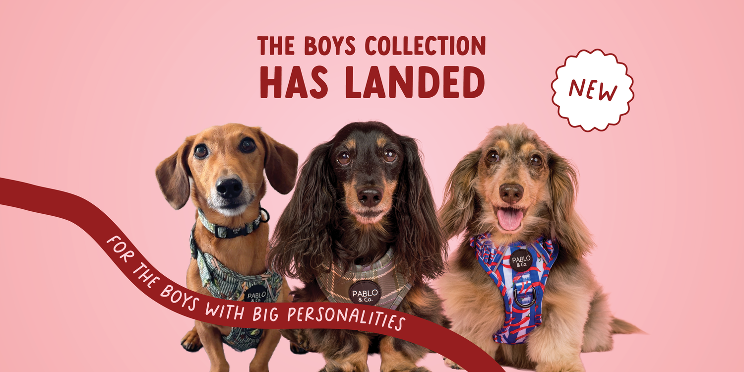 Boys Collection