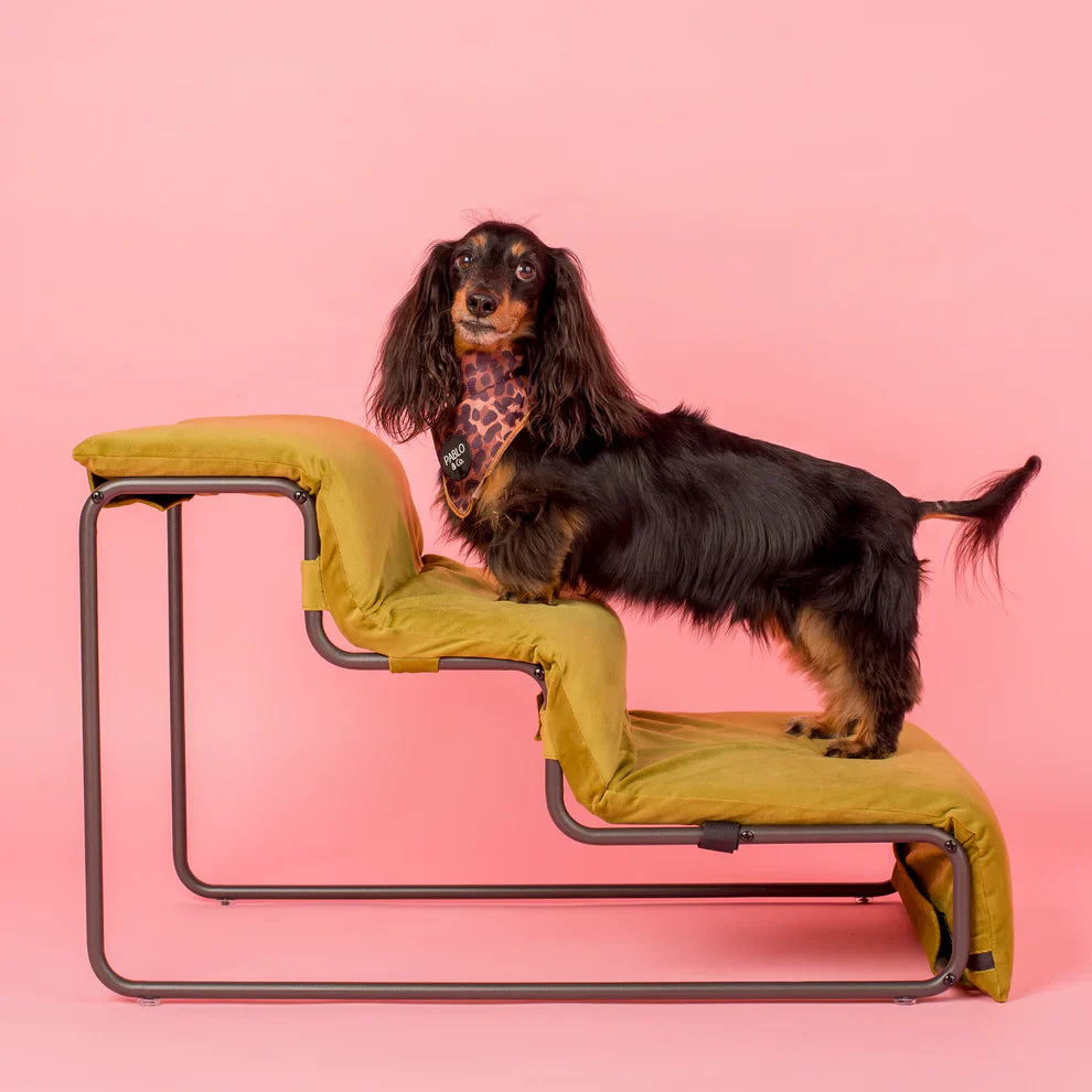Pet Stairs