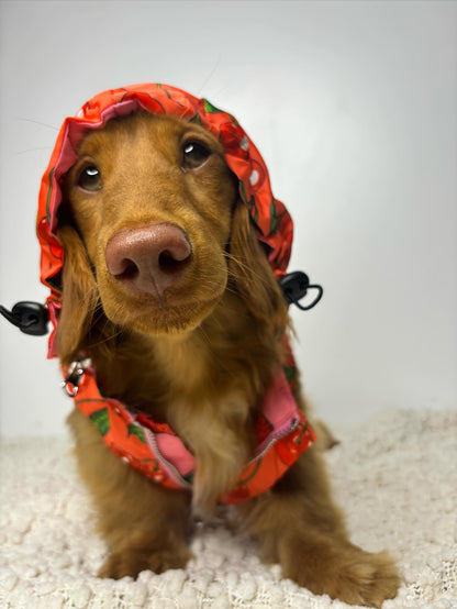 Strawberries / Cherry: Raincoat