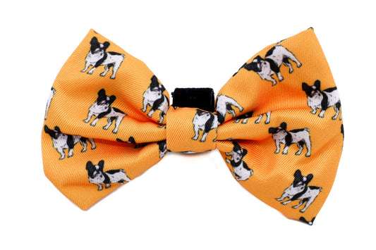 French Bulldog: Bow Tie