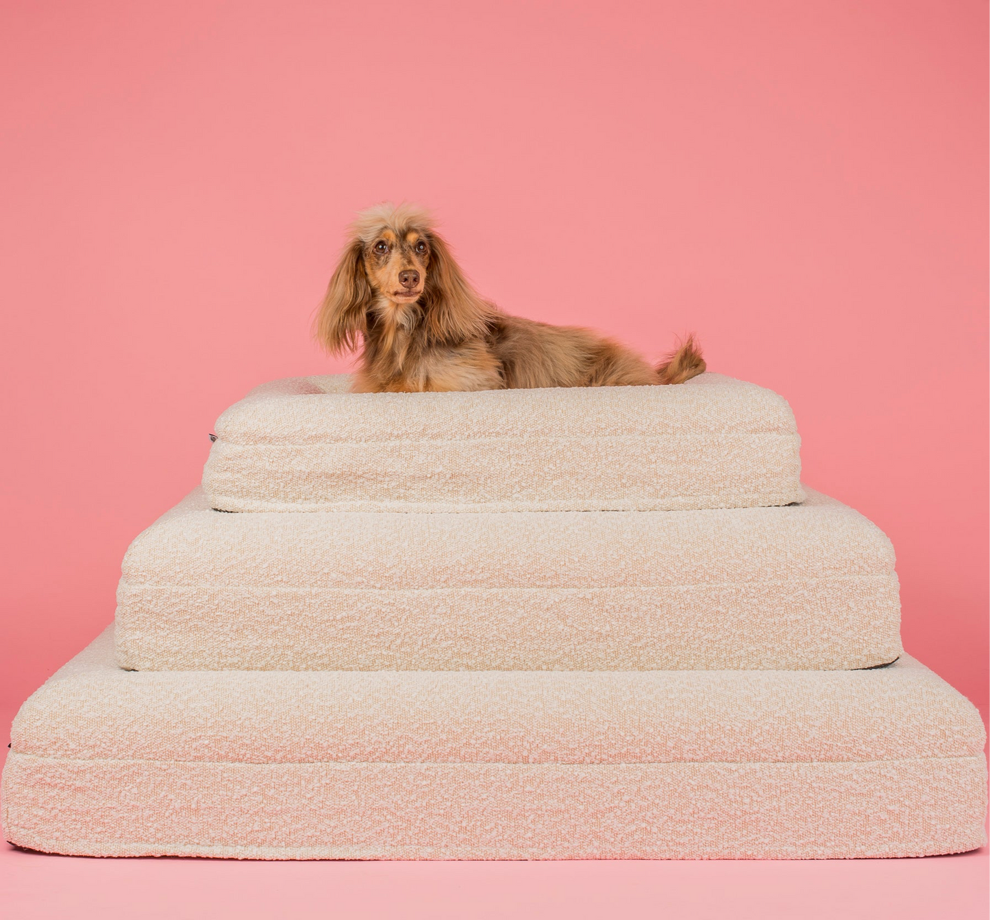 Orthopedic Memory Foam Boucle Dog Bed: Cloud