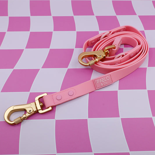 Bubblegum: Multi-Functional Waterproof Leash