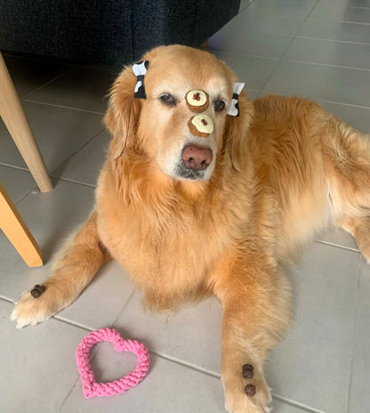 Biggie's Raw Pantry: Christmas Pudding - Chicken