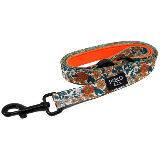 Wildflowers: Dog Leash