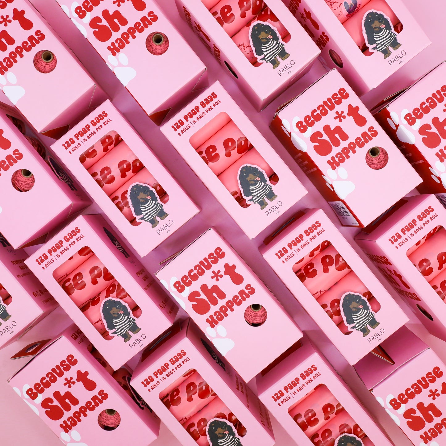 120 Premium Dog Poop Bags (8 Rolls)