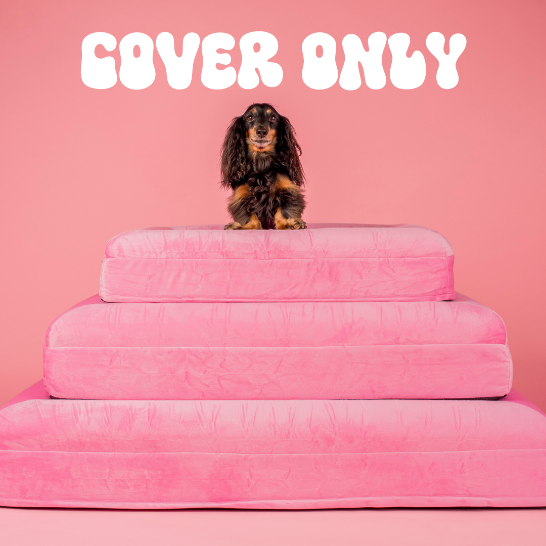 Velvet Dog Bed Cover: Strawberries and Cream (cover only)