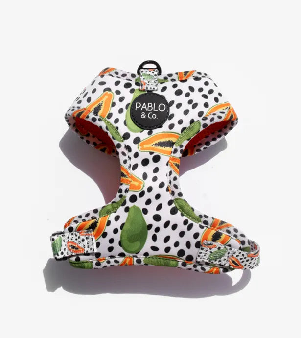 Papaya: Adjustable Harness
