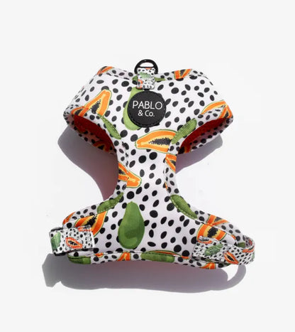 Papaya: Adjustable Harness