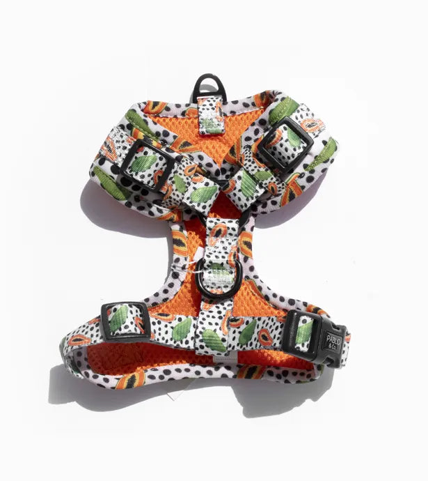Papaya: Adjustable Harness