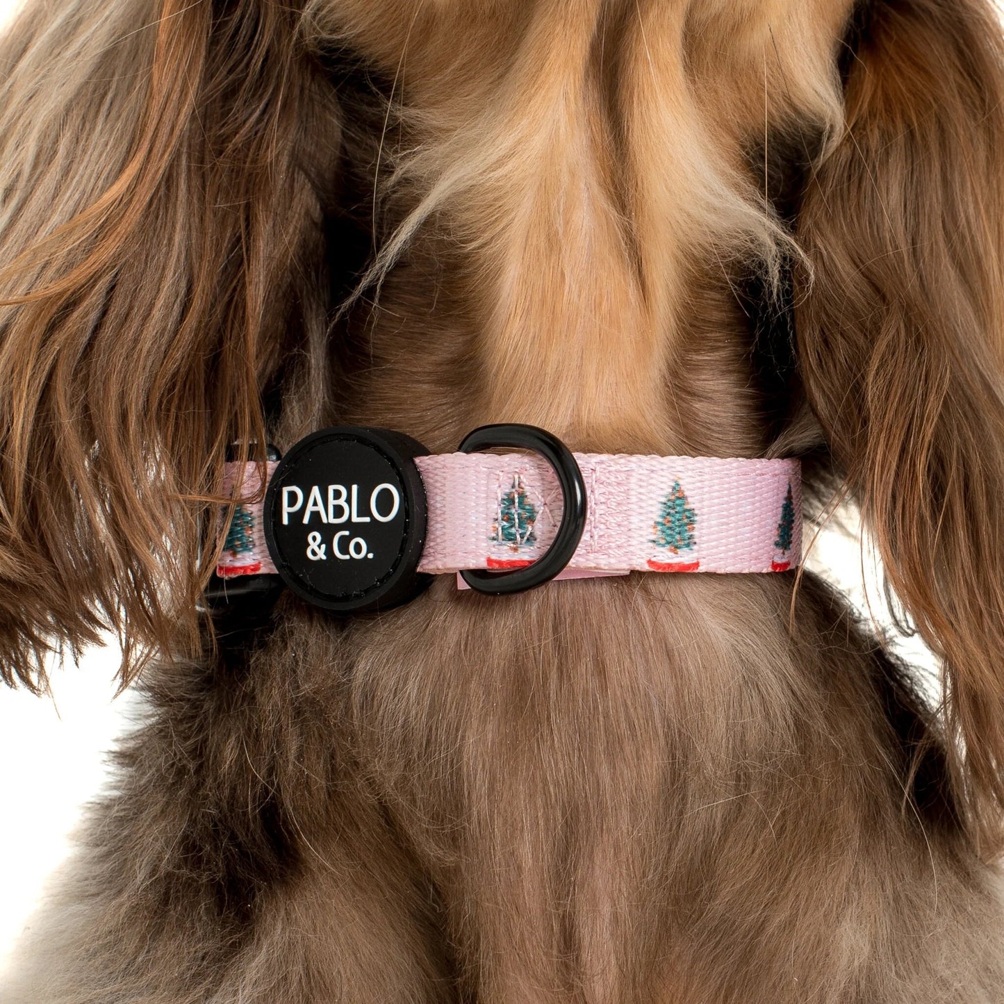 Snow Globes: Collar