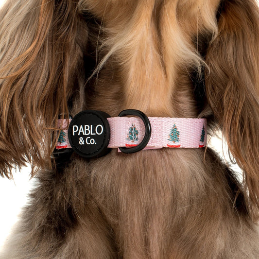 Snow Globes: Collar
