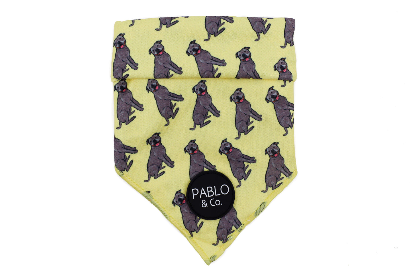 Staffy - Dog Bandana