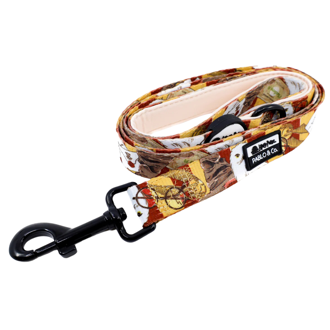 Harry Potter: Dog Leash
