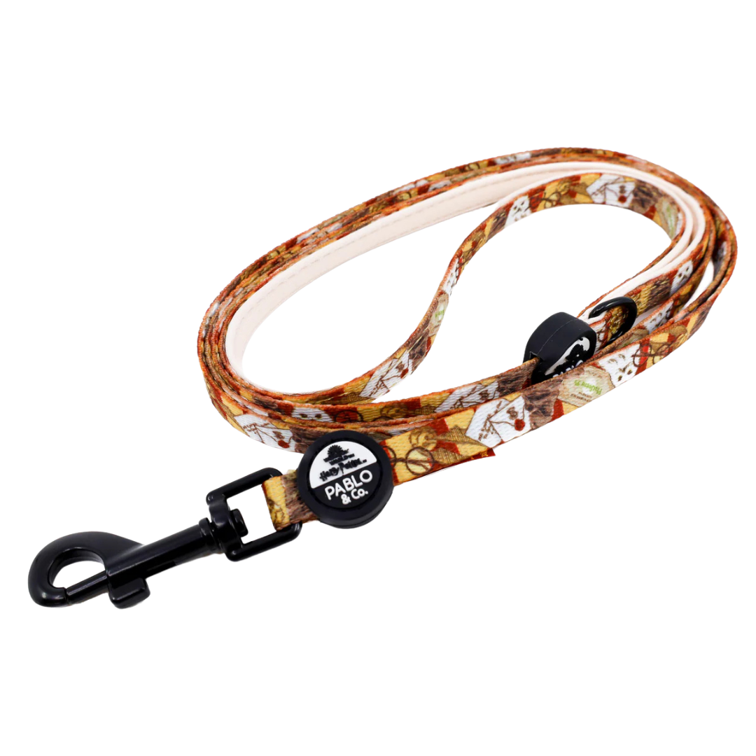 Harry Potter: Cat Leash