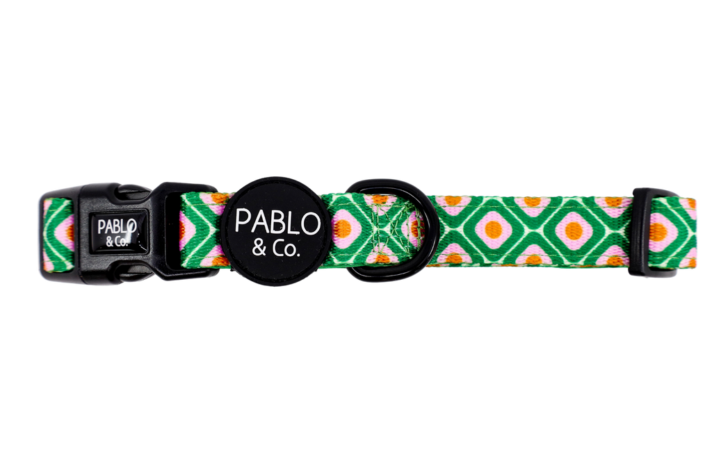 COLLARS Pablo & Co. Boutique