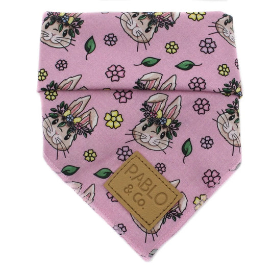Florence the Bunny: Bandana