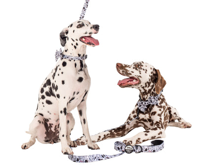 101 Dalmatians: Dog Collar