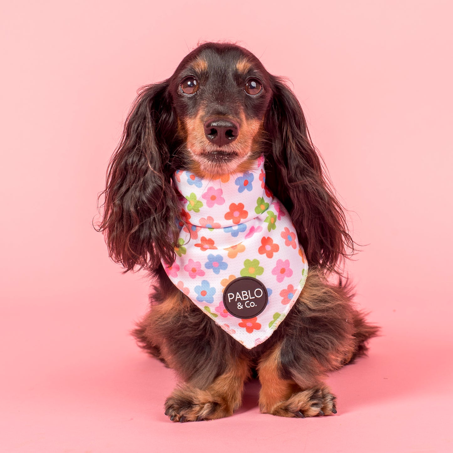 Posy: Dog Bandana