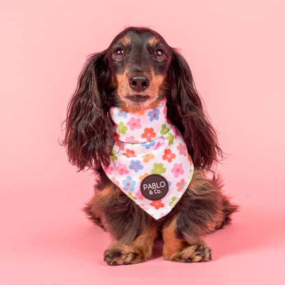 Posy: Dog Bandana