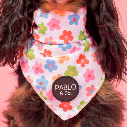 Posy: Dog Bandana