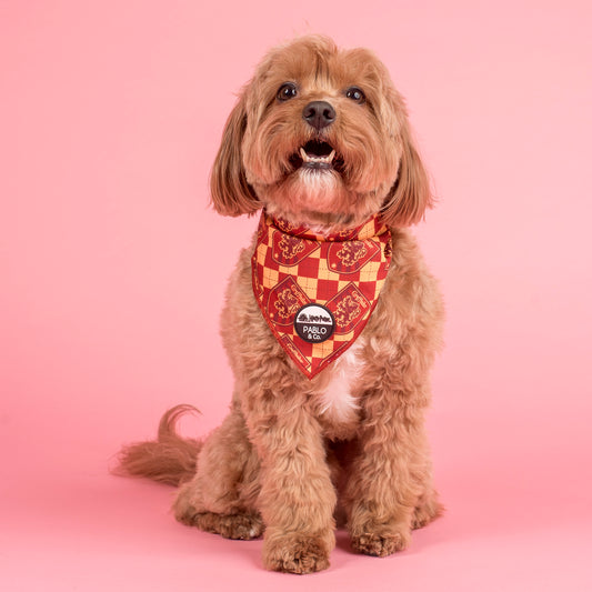 Harry Potter - Gryffindor: Dog Bandana