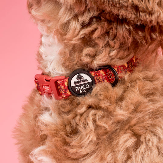 Harry Potter - Gryffindor: Dog Collar