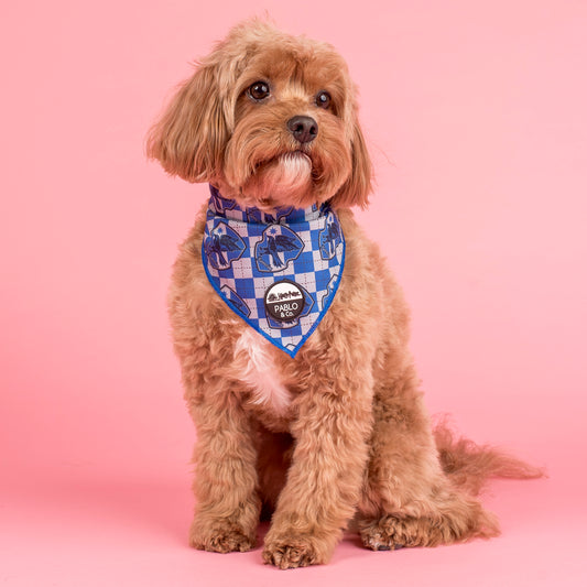 Harry Potter - Ravenclaw: Dog Bandana