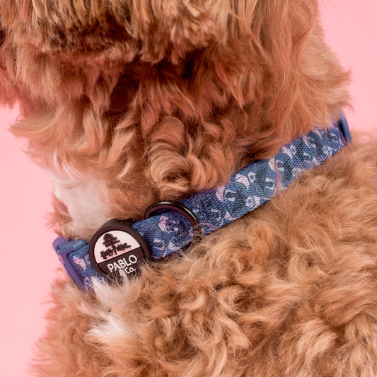 Harry Potter - Ravenclaw: Dog Collar