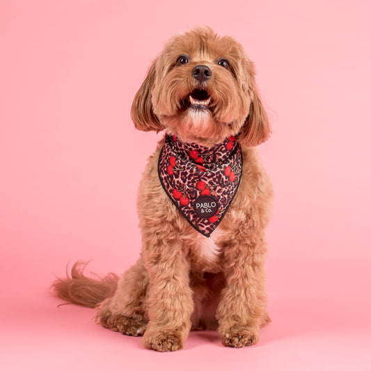 Leopard Cherries: Dog Bandana