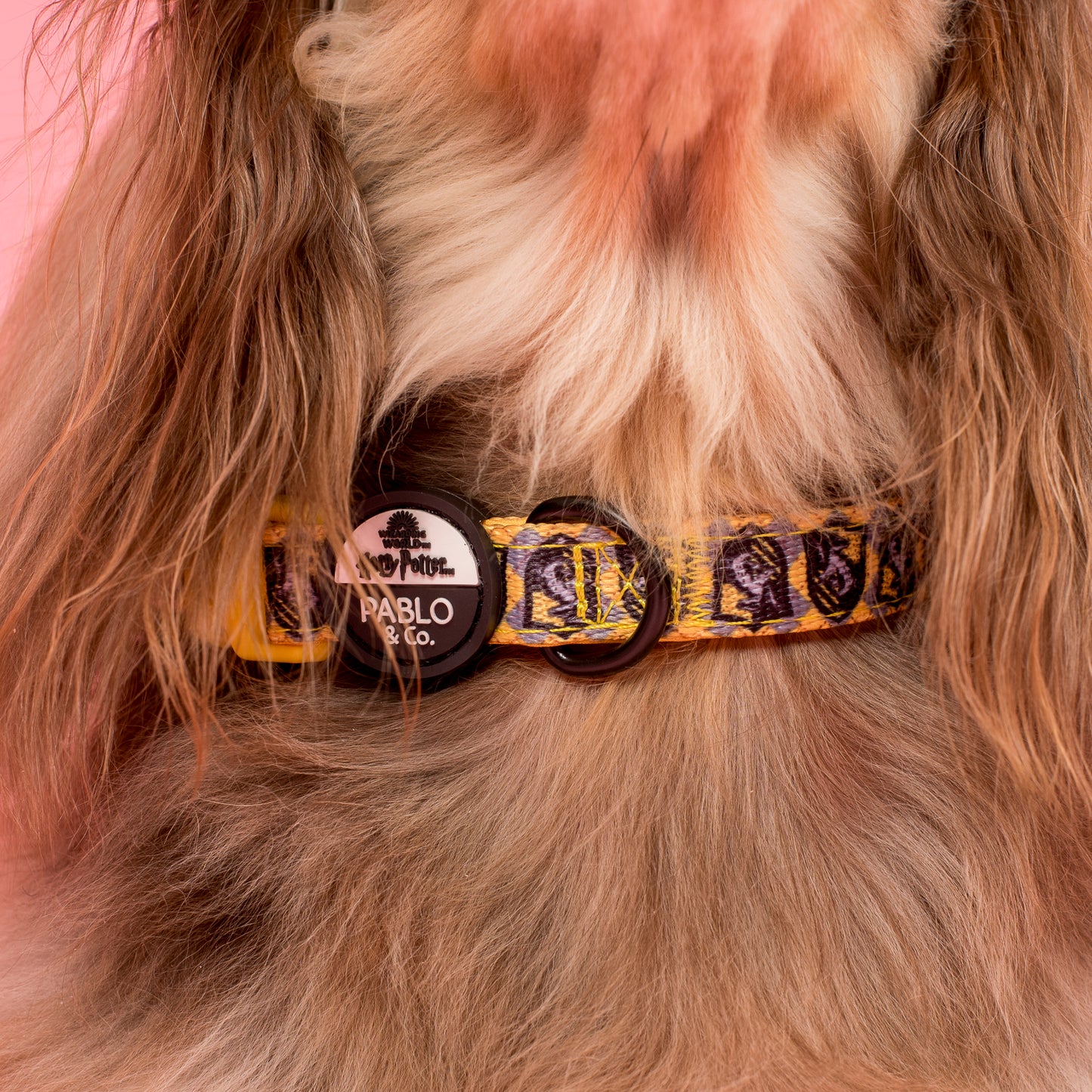 Harry Potter - Hufflepuff: Dog Collar