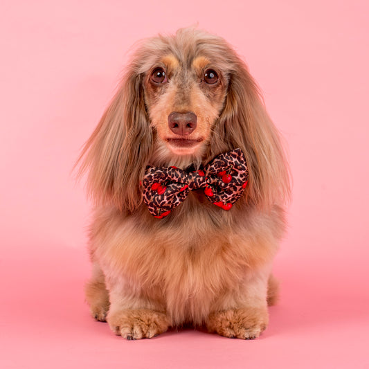 Leopard Cherries: Bow Tie