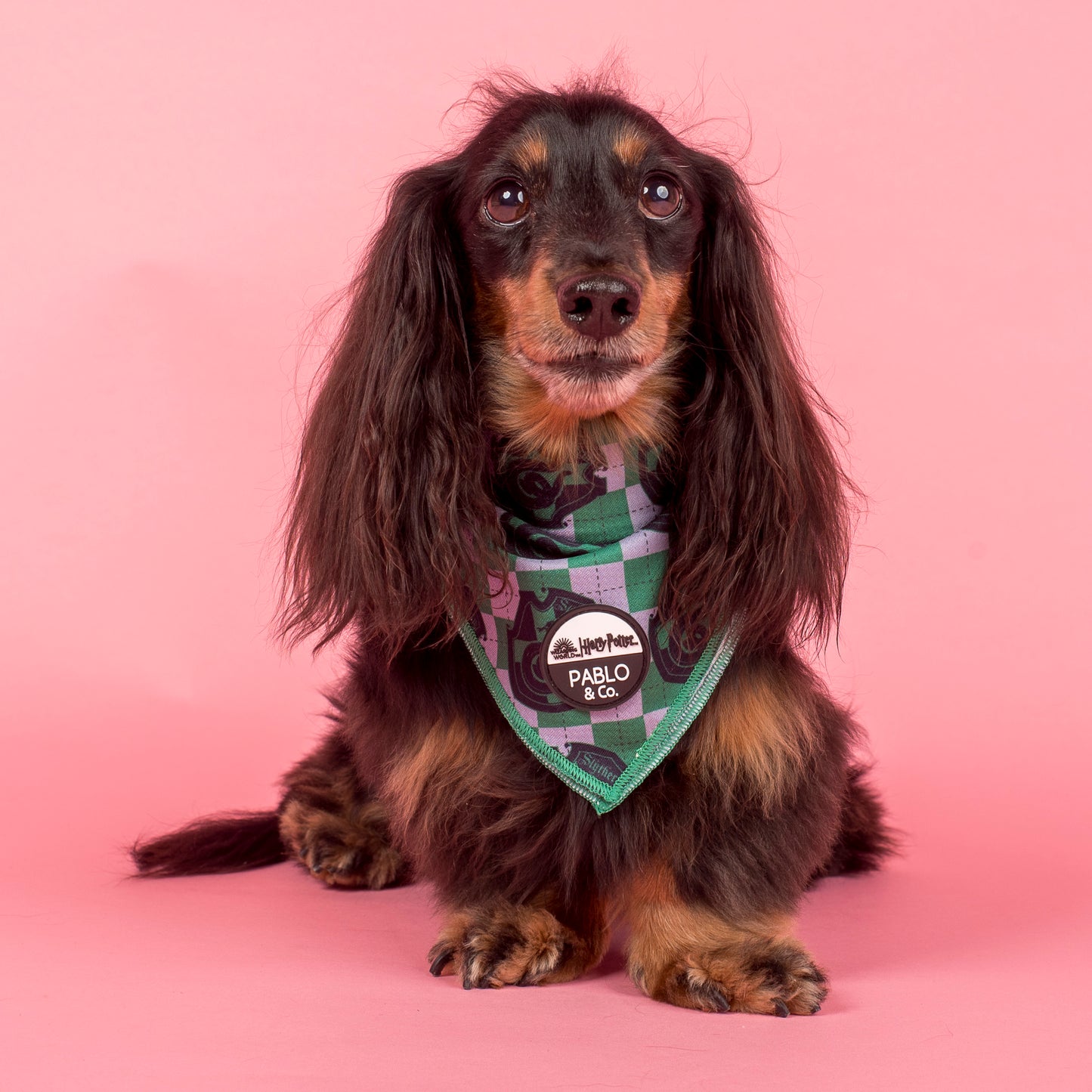 Harry Potter - Slytherin: Dog Bandana