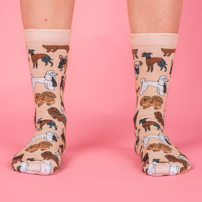 Winter Pooches Socks