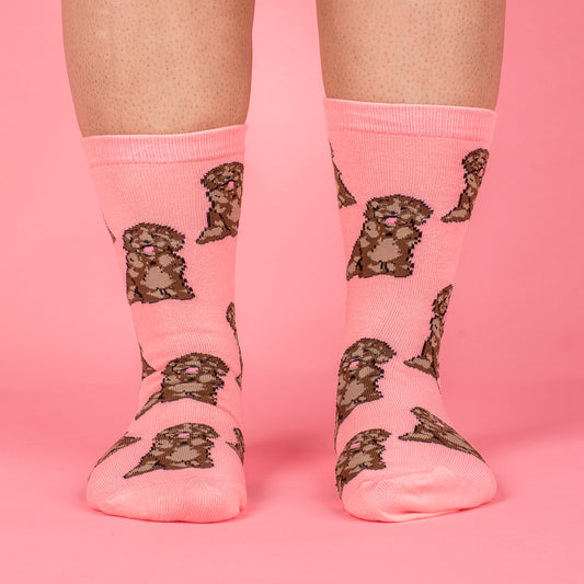 Pink Cavoodle: Breed Socks