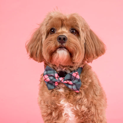 Patch's Plaid: Bow Tie