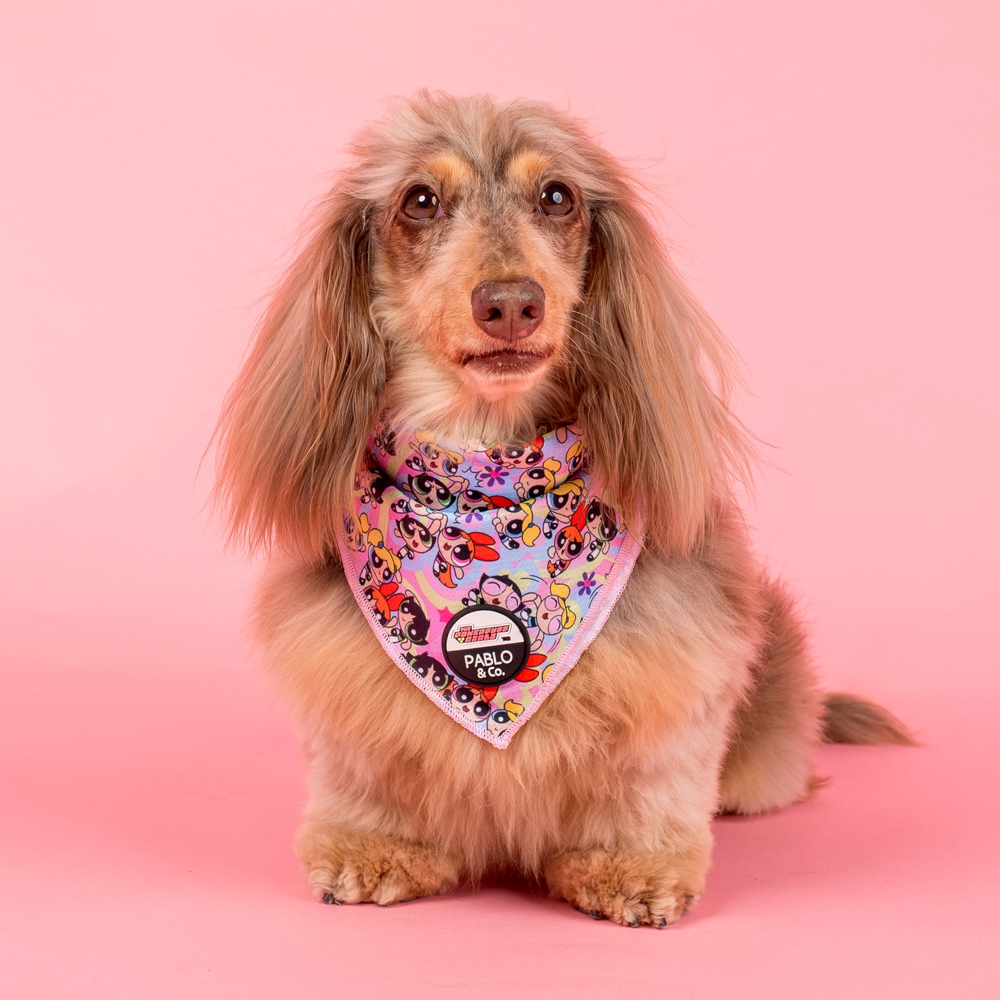 The Powerpuff Girls: Dog Bandana