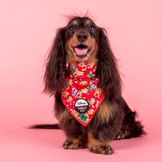 Winnie the Pooh Christmas: Dog Bandana