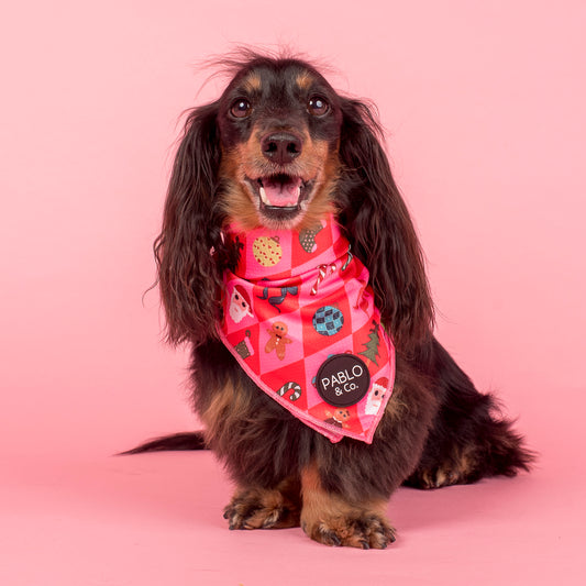 Christmas Cheer: Dog Bandana